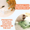 FunBox - interactive Cat Toy