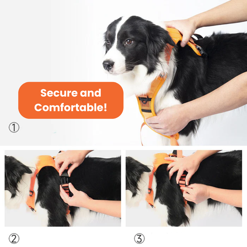 COMFYWALK HARNESS & LEASH