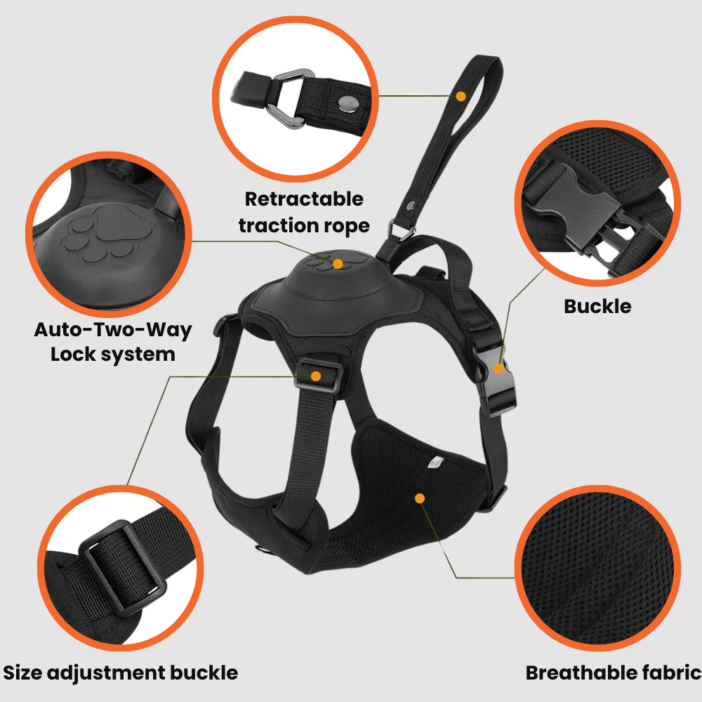 COMFYWALK HARNESS & LEASH