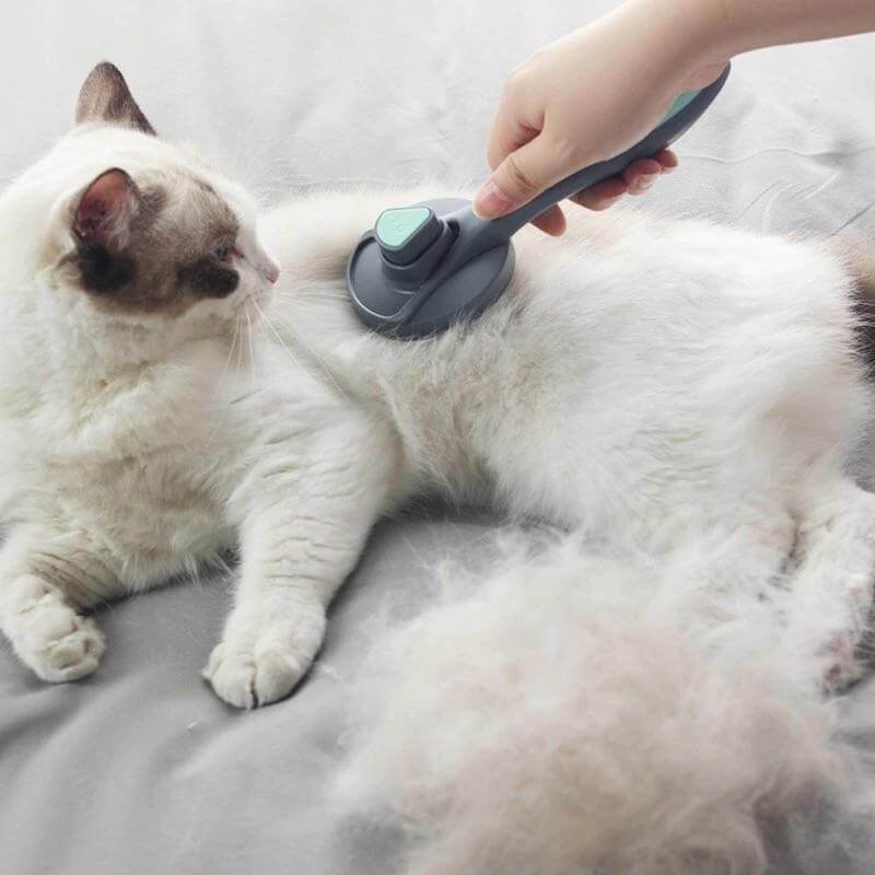 MagicBrush - Pet Grooming Brush